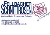 Fellbacher Schnittrosen-Gärtnerei Schwarzkopf