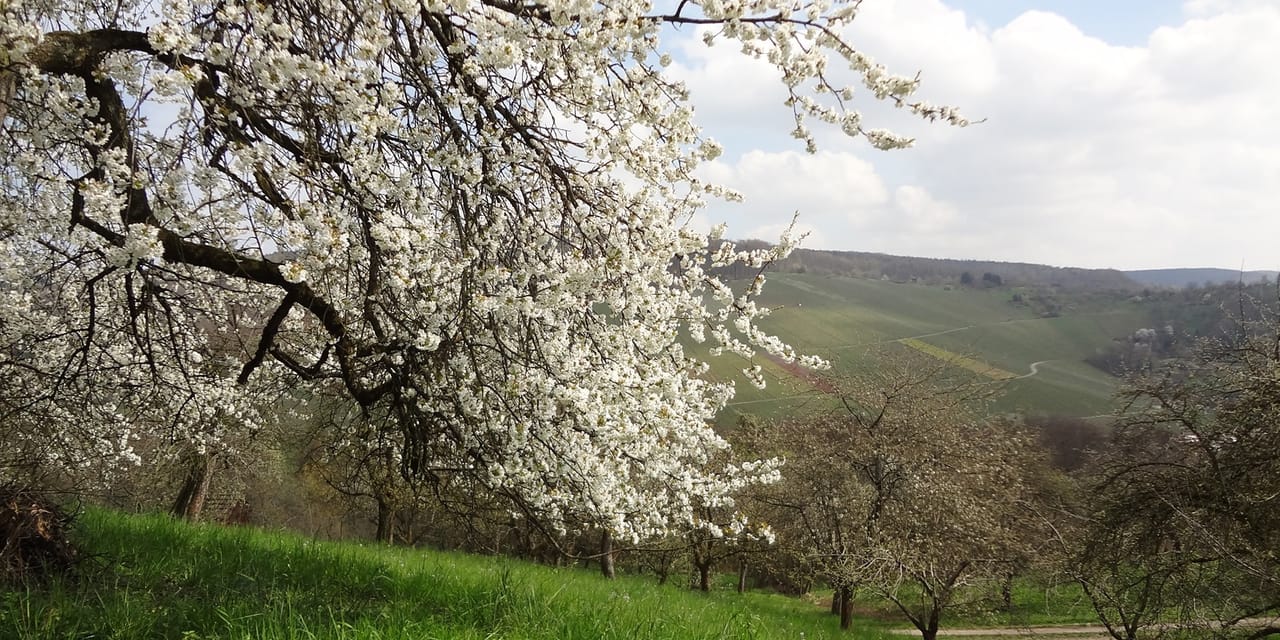 Natur von hier